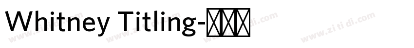 Whitney Titling字体转换